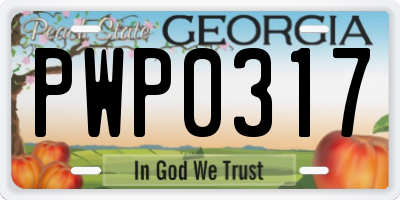GA license plate PWP0317