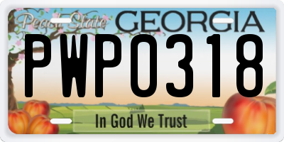 GA license plate PWP0318