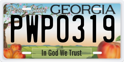 GA license plate PWP0319