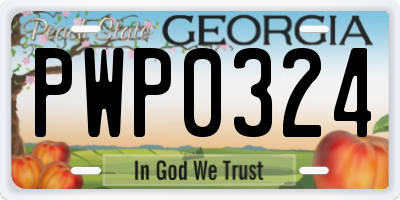 GA license plate PWP0324