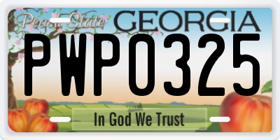 GA license plate PWP0325