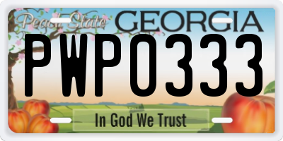 GA license plate PWP0333