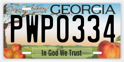 GA license plate PWP0334