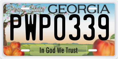GA license plate PWP0339