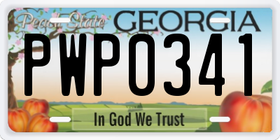 GA license plate PWP0341