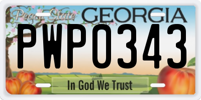GA license plate PWP0343