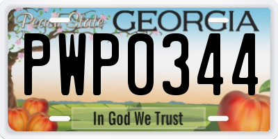 GA license plate PWP0344