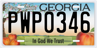 GA license plate PWP0346