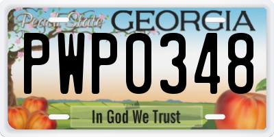 GA license plate PWP0348