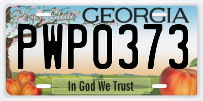 GA license plate PWP0373