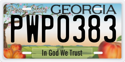 GA license plate PWP0383