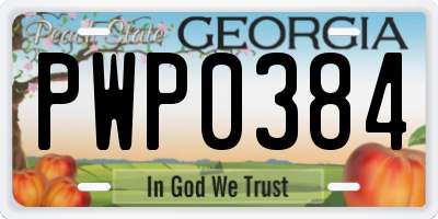 GA license plate PWP0384