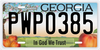 GA license plate PWP0385