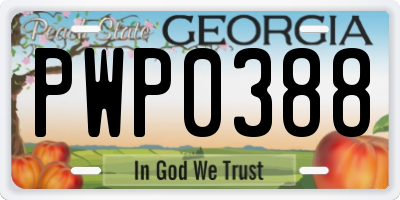 GA license plate PWP0388