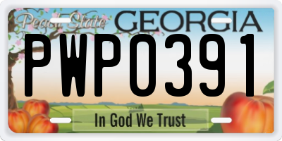 GA license plate PWP0391