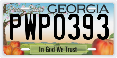GA license plate PWP0393