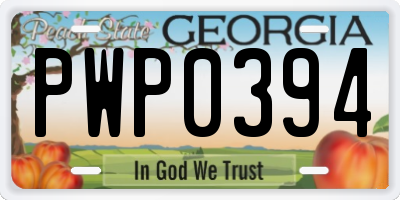 GA license plate PWP0394