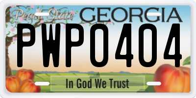 GA license plate PWP0404