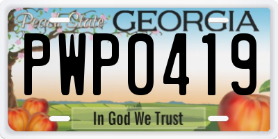 GA license plate PWP0419