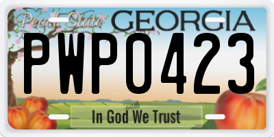 GA license plate PWP0423