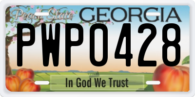 GA license plate PWP0428