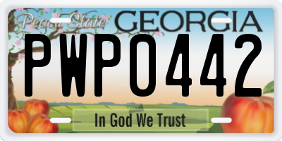 GA license plate PWP0442