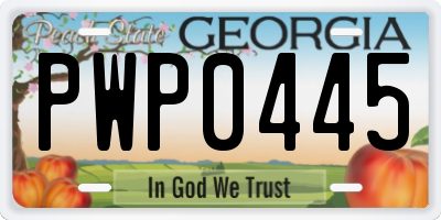 GA license plate PWP0445