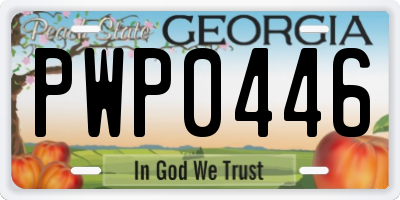 GA license plate PWP0446