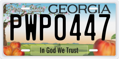 GA license plate PWP0447