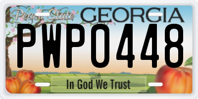 GA license plate PWP0448