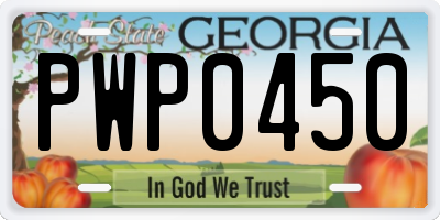 GA license plate PWP0450