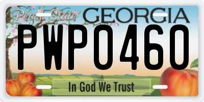 GA license plate PWP0460