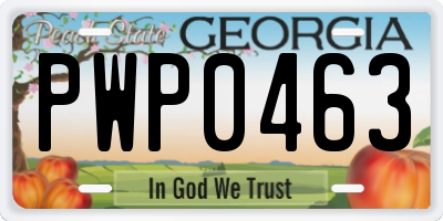 GA license plate PWP0463