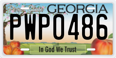 GA license plate PWP0486