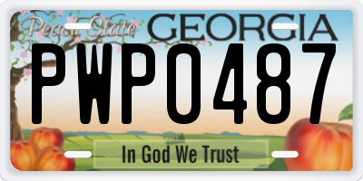 GA license plate PWP0487