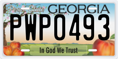 GA license plate PWP0493