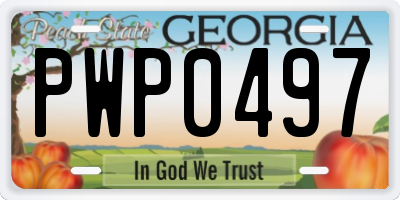 GA license plate PWP0497