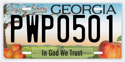 GA license plate PWP0501