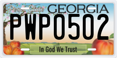 GA license plate PWP0502