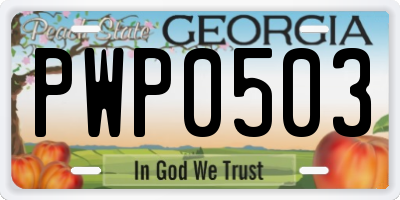 GA license plate PWP0503