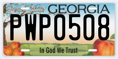 GA license plate PWP0508