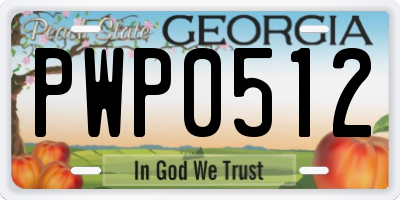 GA license plate PWP0512