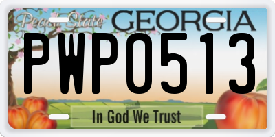 GA license plate PWP0513