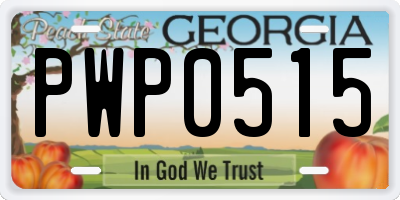 GA license plate PWP0515
