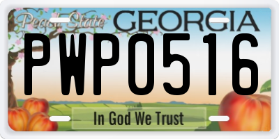 GA license plate PWP0516