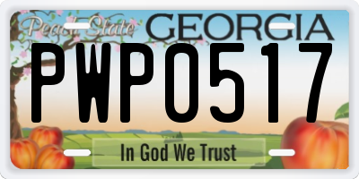 GA license plate PWP0517