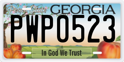 GA license plate PWP0523