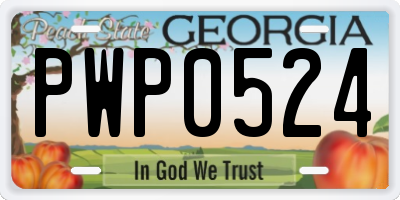 GA license plate PWP0524