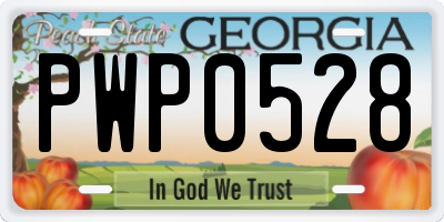GA license plate PWP0528