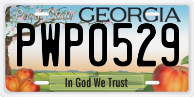 GA license plate PWP0529